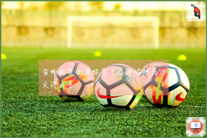 黄蜂新星侧翼球员正迅速崛起为顶尖得分手